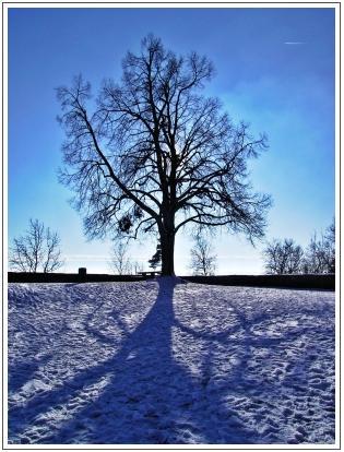 winter.jpg winter.jpg